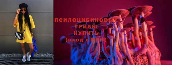 молекула духа Горнозаводск