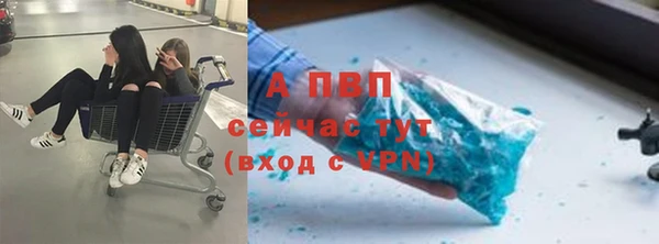 СК Заводоуковск