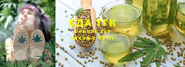 амф Вяземский