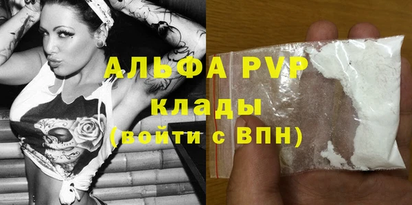 эйфоретик Гусев