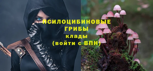 эйфоретик Гусев