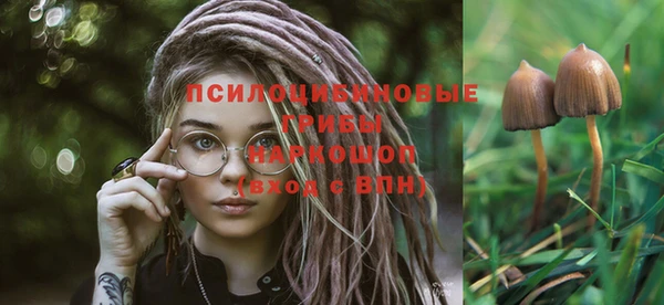 гашик Вязники